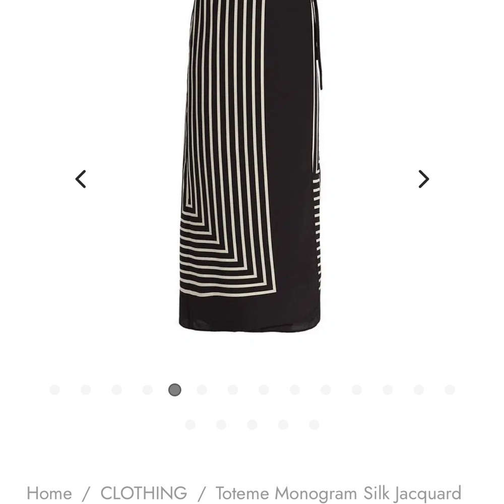 Toteme Black and White Maxi Skirt for Work Never Worn
